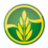 Logo SENNEN POTASH