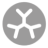 Logo Starpharma