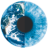 Logo IDS