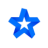 Logo Blue Star Capital