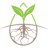 Logo ARGO LIVING SOILS CORP.