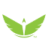 Logo Phoenix Motor