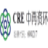 Logo SHAANXI QINLING CEM.A YC1