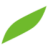 Logo ALFRESA HOLDINGS CORP.