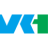 Logo VITAL KSK HLDGS INC.