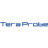 Logo TERA PROBE INC.