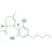 Logo CBD DENVER INC.NEW DL-,01