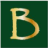 Logo BORNEO RES.INV. DL-,01