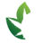 Logo Amazonas Florestal