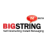 Logo BIGSTRING CORP. DL-,01