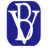 Logo BV FINANCIAL INC. NEW