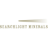 Logo SEARCHLIGHT M.NEW DL-,001