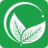 Logo GREEN LEAF INNOV. DL-,01