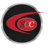 Logo STEG CONS