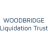 Logo WOOE LIQU