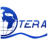 Logo TeraForce Technology
