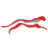 Logo Cheetah Net