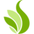Logo IBIS INC.