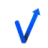 Logo Next Vision