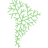 Logo SALI LITHIUM CORP.