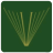 Logo Calvert International