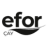 Logo EFOR CAYPAR