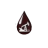 Logo SANTA ROSA R