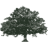 Logo LIVE OAK ACQU.CORP.CL.A