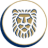 Logo Gold Fields