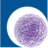 Logo REGEN BIOPH.PFD A NEW