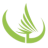 Logo Conifex Timber