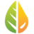 Logo LeanLife Health