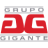 Logo GRUPO GIGANTE SAB DE CV