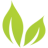 Logo BRIGHT GREEN CORP.