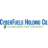 Logo CYBERFUELS HLDGS. DL-,001