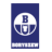 Logo Boryszew SA