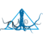 Logo Coda Octopus Group