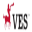 Logo VES SIGHISOARA LN-,1