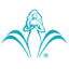 Logo KUPELE DUDINCE INH. 05/04