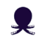 Logo Octopus Apollo