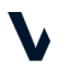 Logo VIANET GROUP