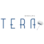 Logo GROUPE TERA S.A. EO-,25