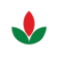 Logo Bisi International