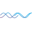 Logo IMPE FITN