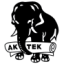Logo AKIN TEKSTIL