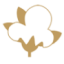 Logo DCT TRADPAR