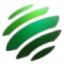 Logo KSG Agro S.A. Actions Nominatives DL-,01