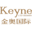 Logo Keyne