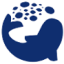 Logo NOCERA INC. DL-,01