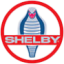 Logo CARROLL SHELBY DL-,001